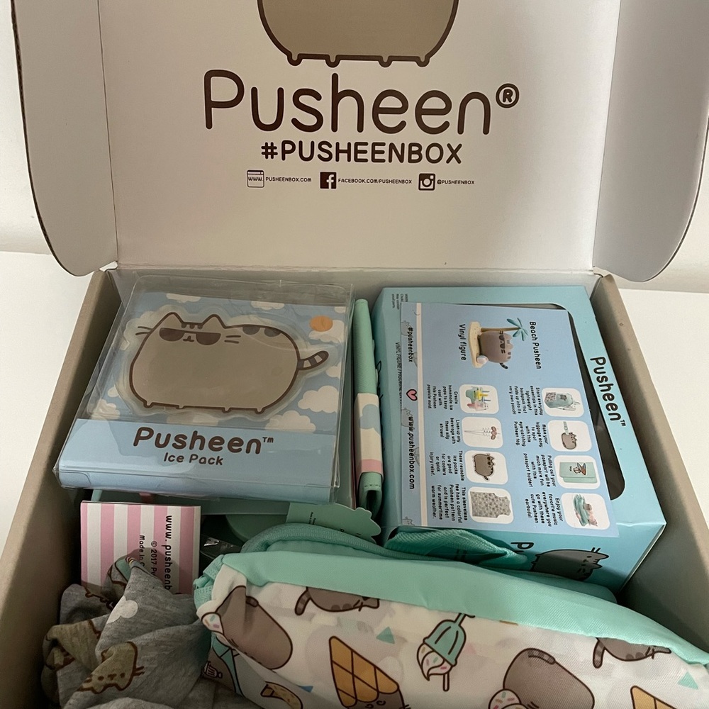 I’m selling this pusheen box from the 2017 summer collection